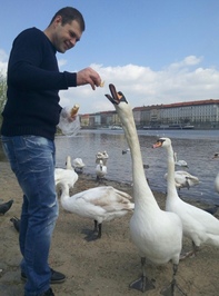 Mark Ari
